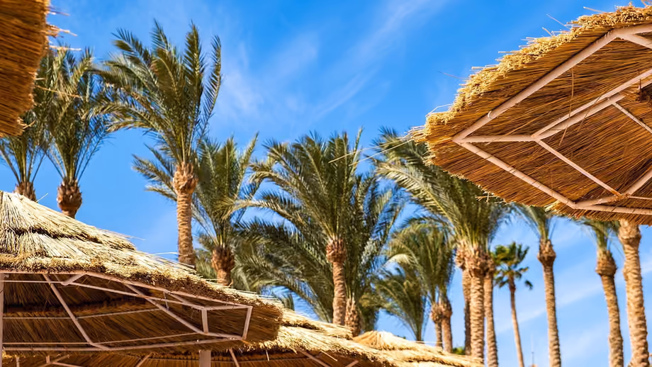 Orlando Timeshare Promotions